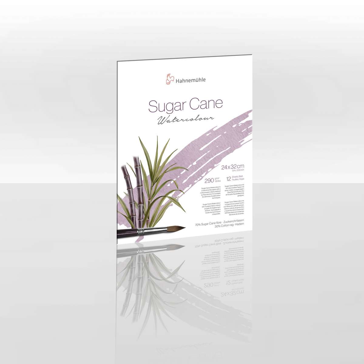 BLOCO HAHNEMUHLE SUGAR CANE 290g/m2 24X32cm GRANA FINA 12FLS