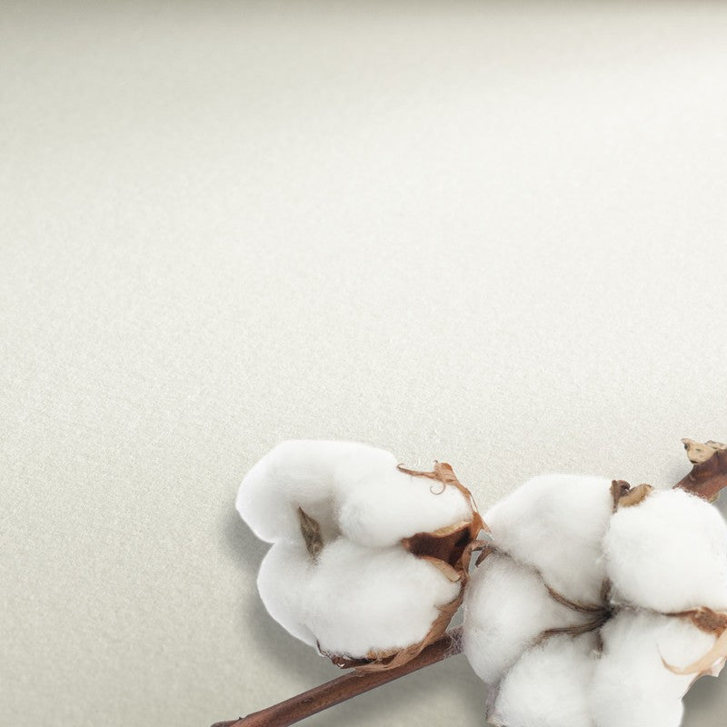 BLOCO HAHNEMUHLE COLLECTION WATERC 300G HOT PRESS 24X32 10FL