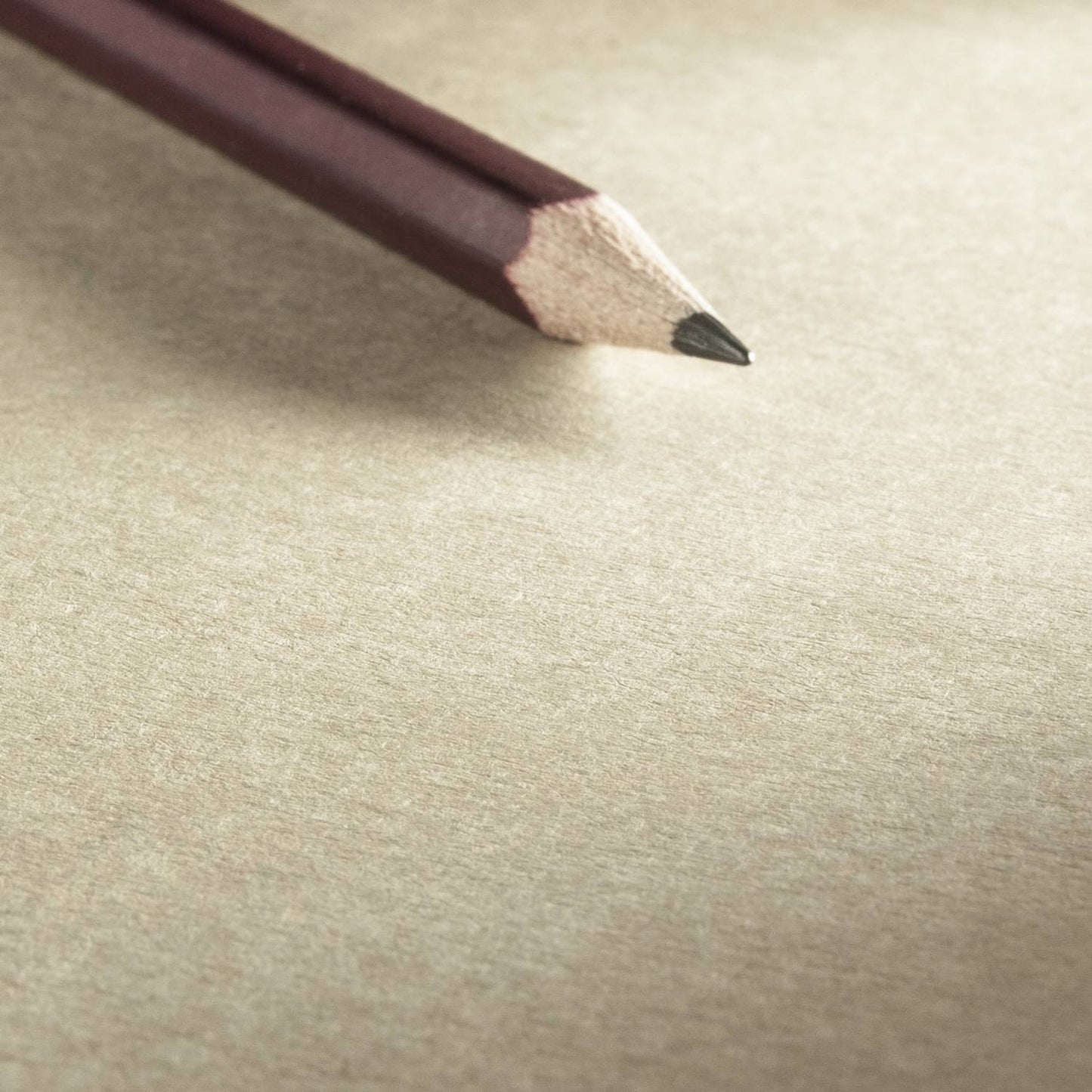 SKETCH BOOK HAHNEMUHLE KRAFT 120g/m2 A4 80 FOLHAS