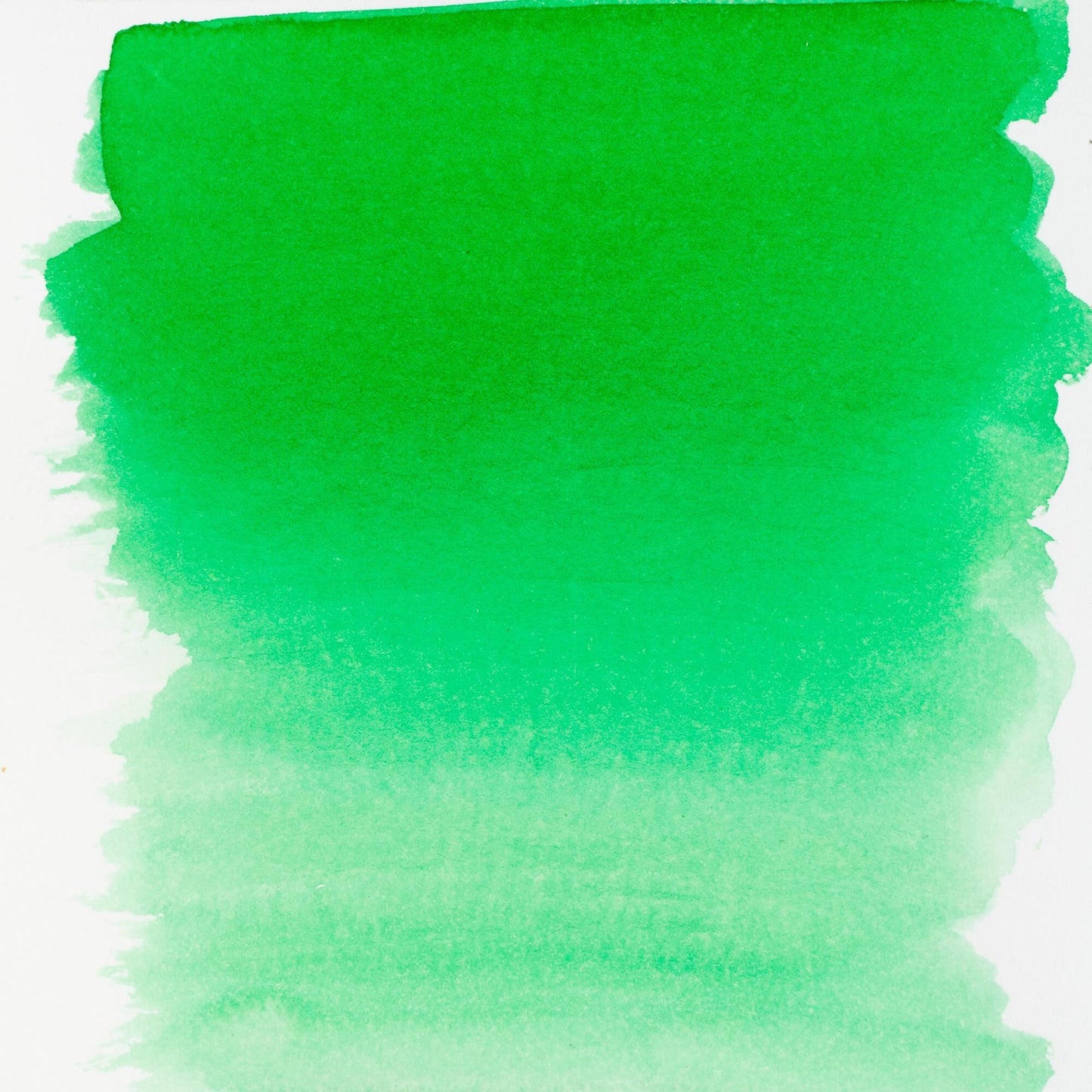 AQUARELA TALENS ECOLINE 30ML 656 FOREST GREEN