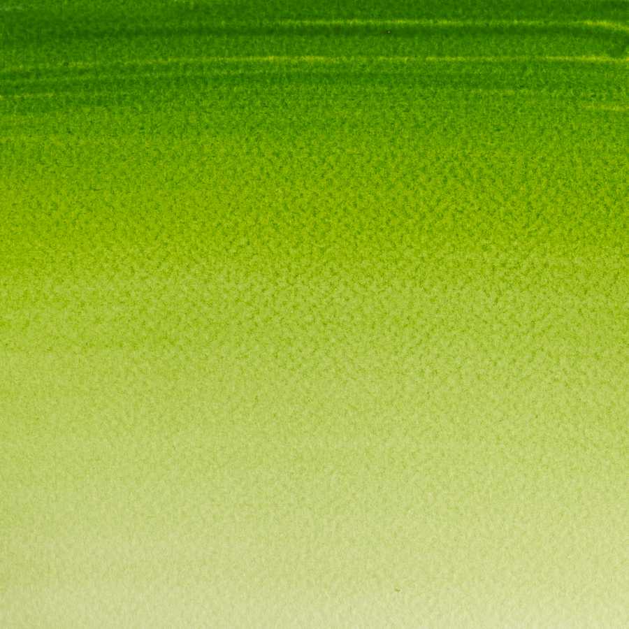 AQUARELA WINSOR NEWTON COTMAN 21ML SAP GREEN 0308599