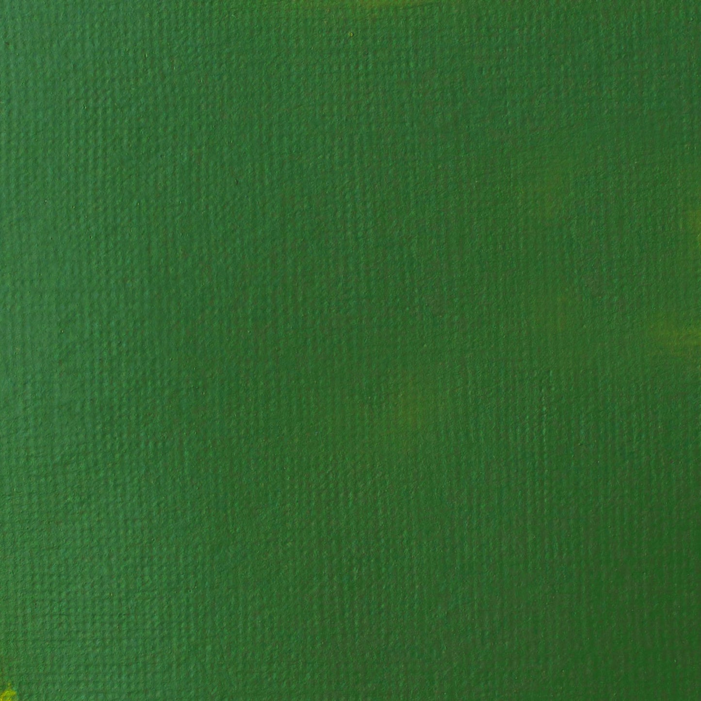 ACRILICA LIQUITEX BASICS 118ML HOOKERS GREEN 044 (ANT 224)