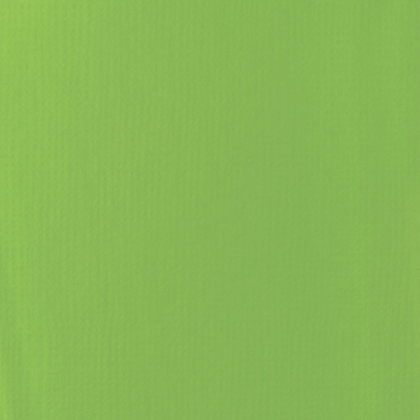ACRILICA LIQUITEX BASICS 118ML LIME GREEN 1046222