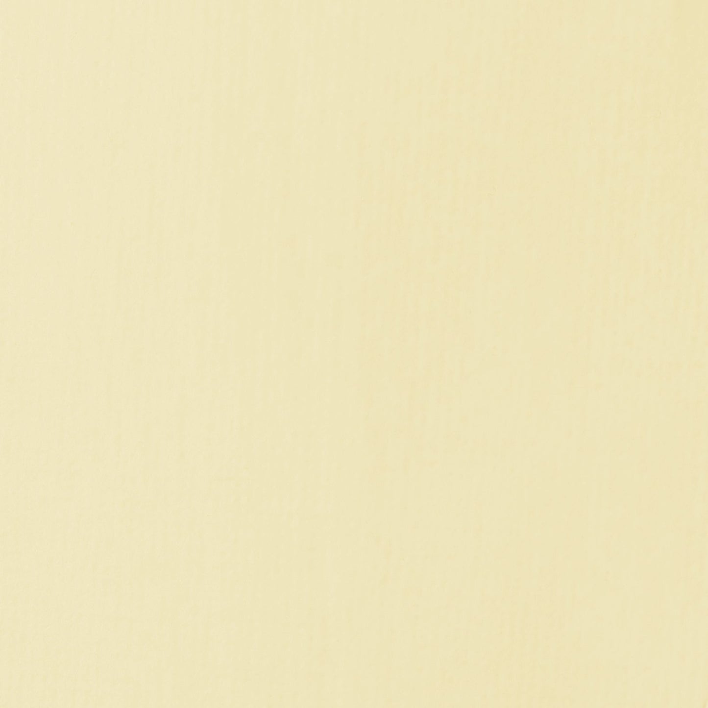 ACRILICA LIQUITEX BASICS 118ML PARCHMENT 058 (ANT 436)