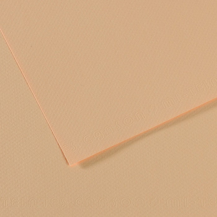 PAPEL CANSON MI-TEINTES 160G/M2 A2 350 ROSE