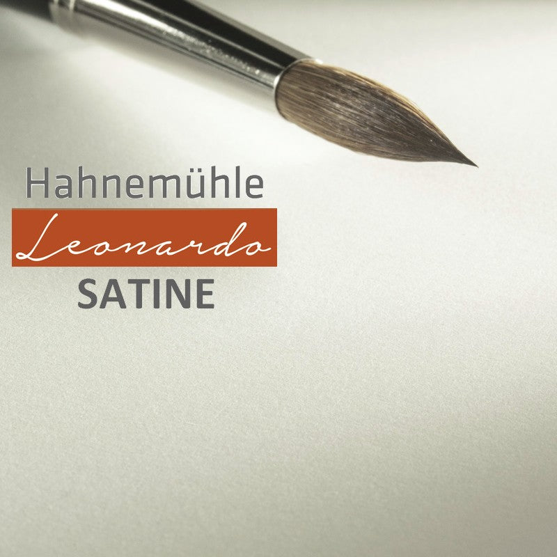 BLOCO HAHNEMUHLE LEONARDO SATINE 600g/m2 30x40 10 FOLHAS