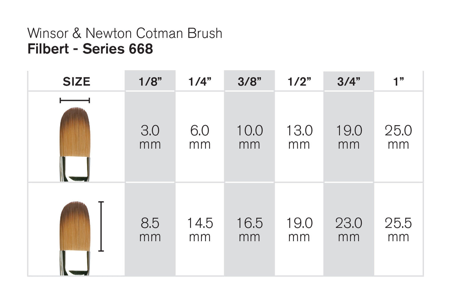 PINCEL WINSOR NEWTON COTMAN 668x03 3mm FILBERT