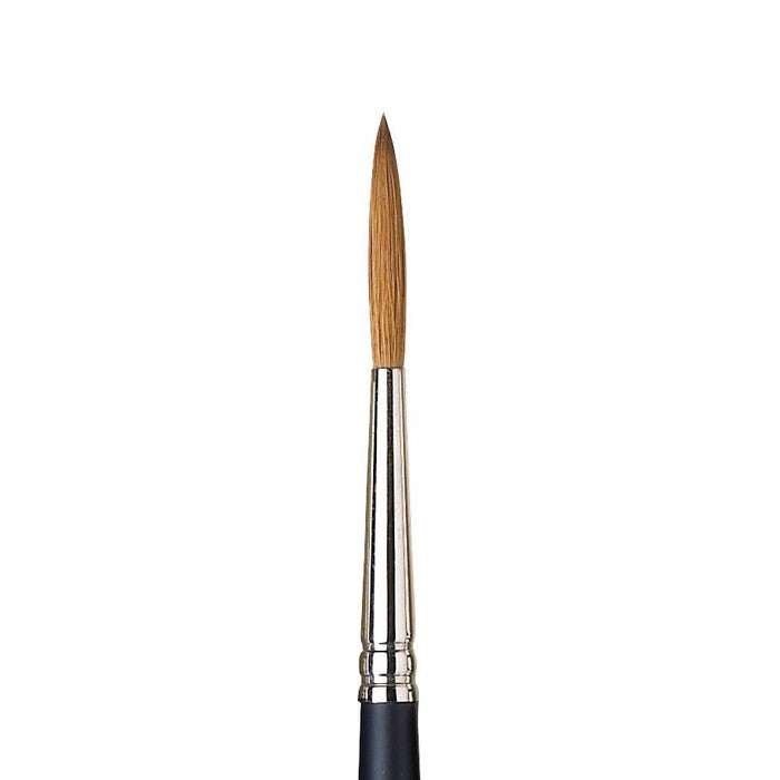 PINCEL WINSOR NEWTON ARTISTS 5069x05 KOLINSKY RIGGER