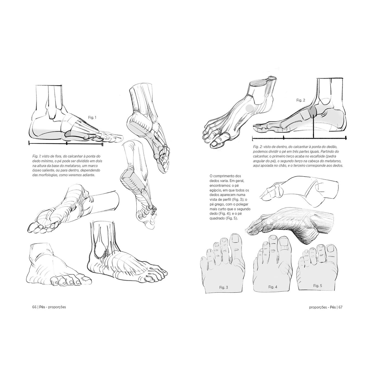 LIVRO "ANATOMIA ARTISTICA 6" MAOS E PES - MICHEL LAURICELLA