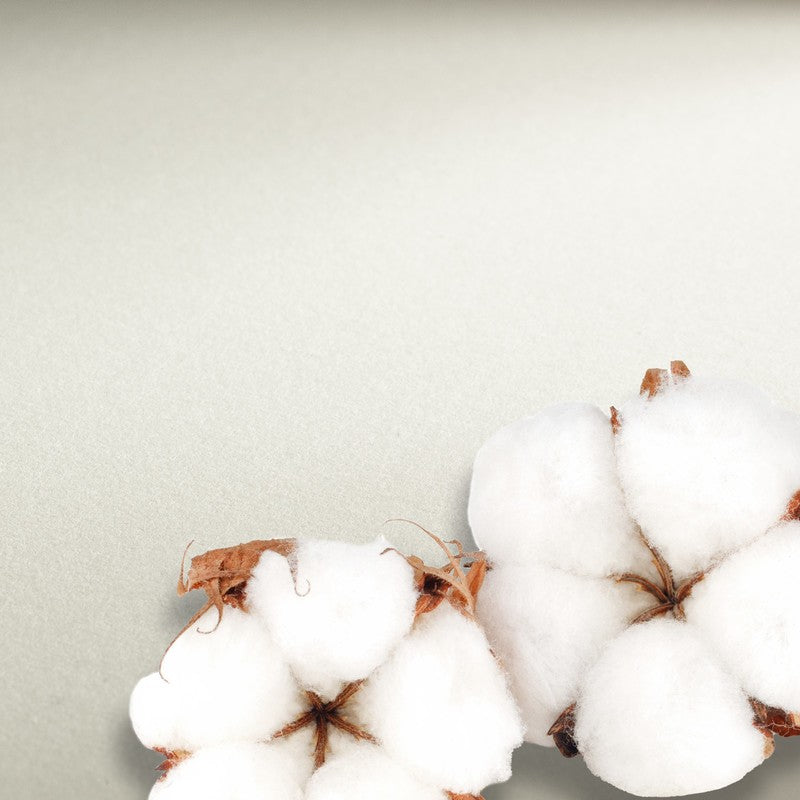 BLOCO HAHNEMUHLE COLLECTION WATERC 640G HOT PRESS 24X32 10F