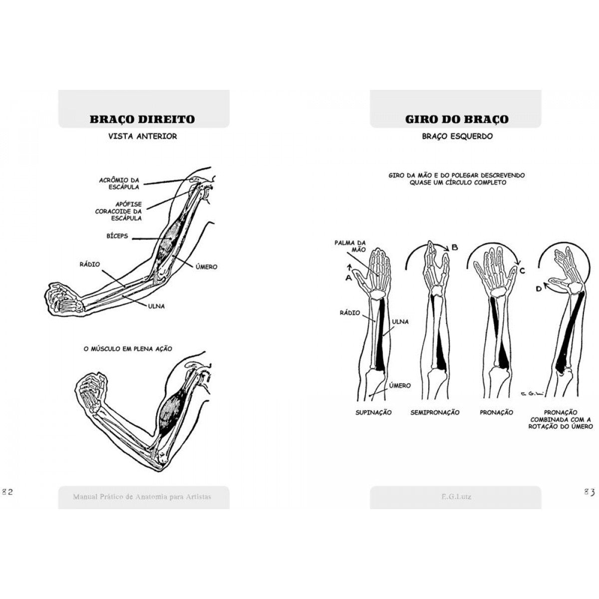 LIVRO "MANUAL PRATICO DE ANATOMIA PARA ARTISTAS" E. G. LUTZ
