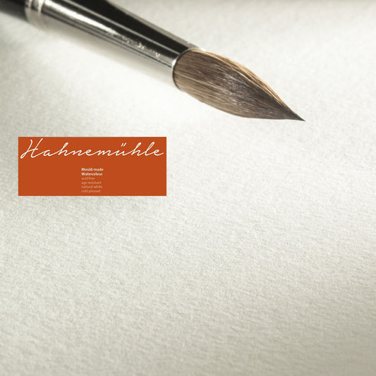 PAPEL HAHNEMUHLE MOULD MADE 300g/m2 GRANA FINA 50x65