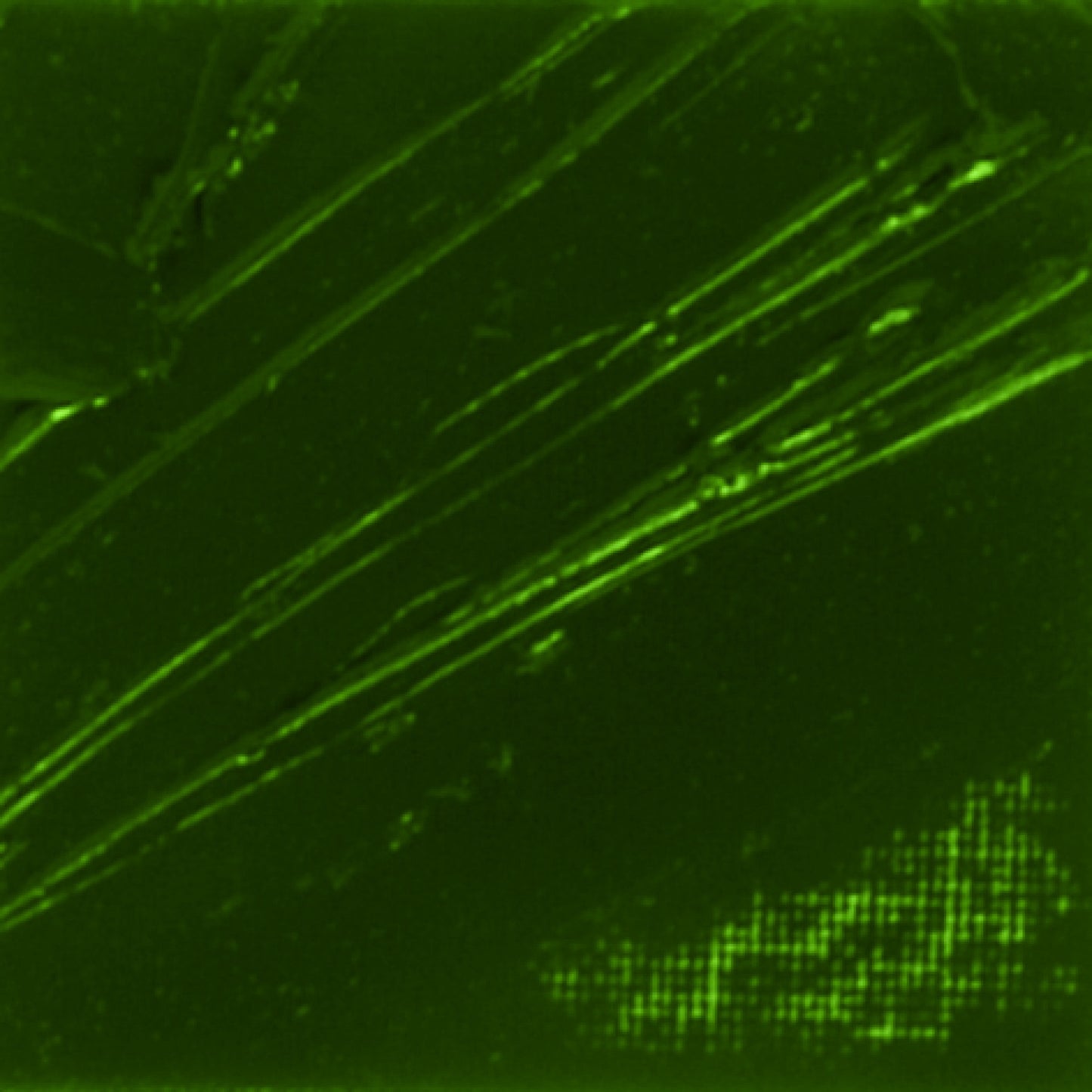 OLEO PEBEO XL 37ML 44 TERRA VERDE 937044