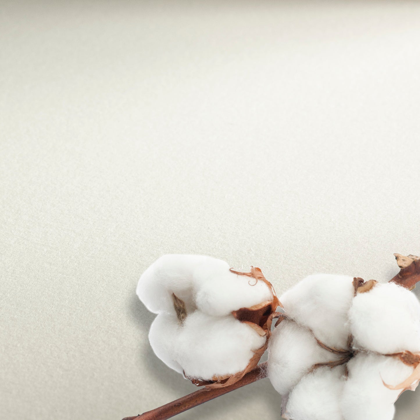 PAPEL HAHNEMUHLE COLLECTION SATINE 300G/M2 56X76 100% COTTON