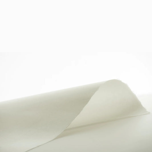 PAPEL ARROZ AWAGAMI 80G/M2 HOSHO SELECT 43X52CM 350713300