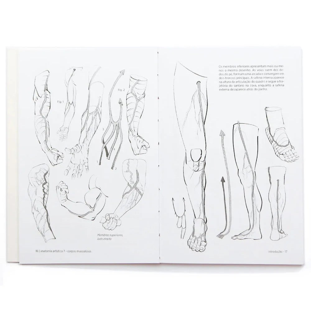 LIVRO "ANATOMIA ARTISTICA 7" CORPOS MUSCULOSOS - MICHEL LAURICELLA