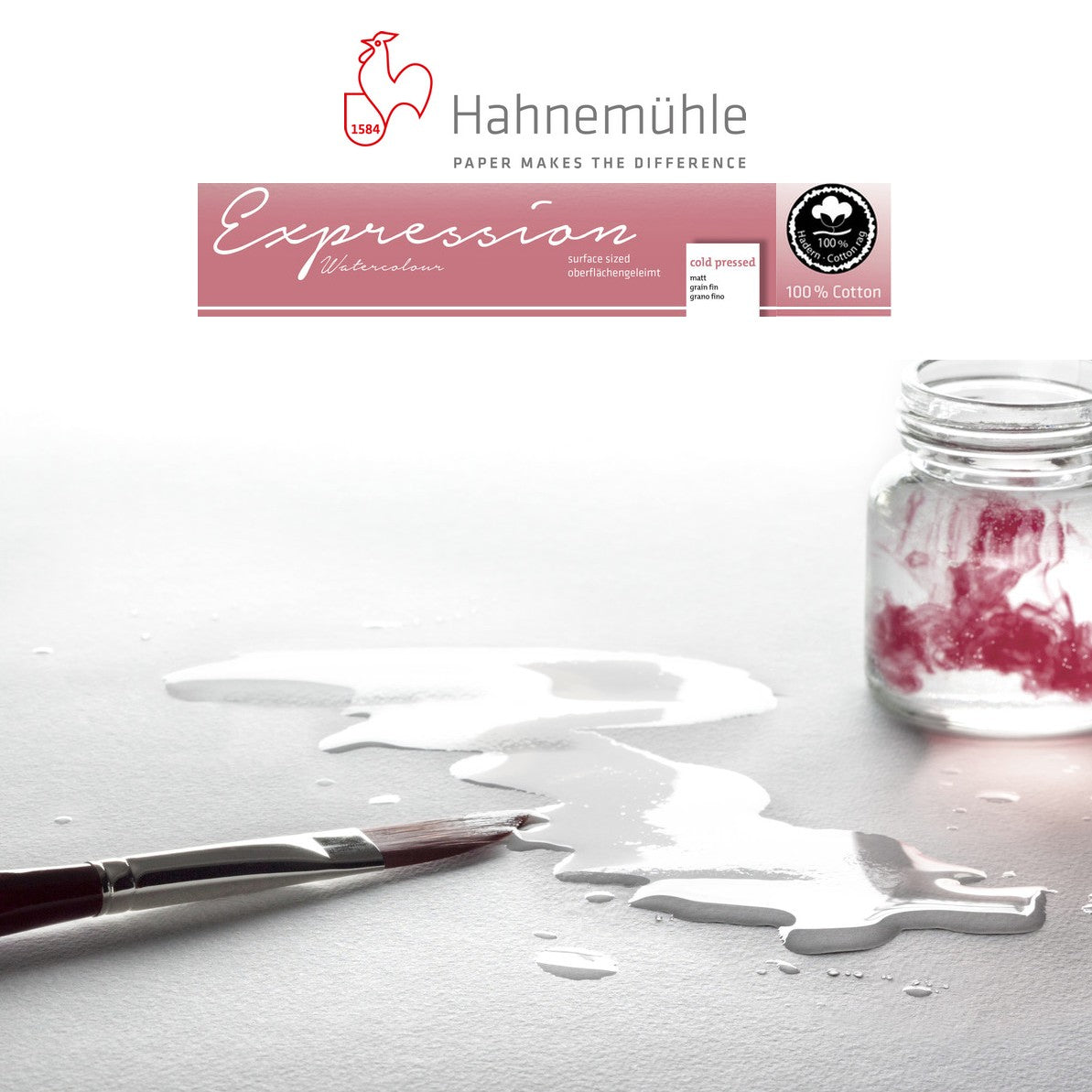 PAPEL HAHNEMUHLE EXPRESSION 300G/M2 GRANA FINA 70X100 100%CO