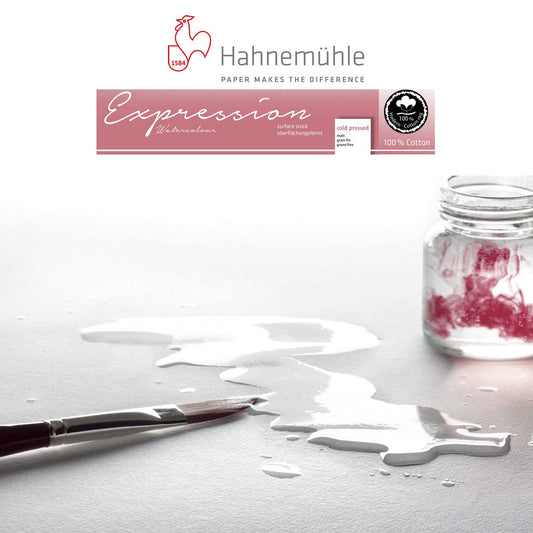 PAPEL HAHNEMUHLE EXPRESSION 300G/M2 GRANA FINA 70X100 100%CO