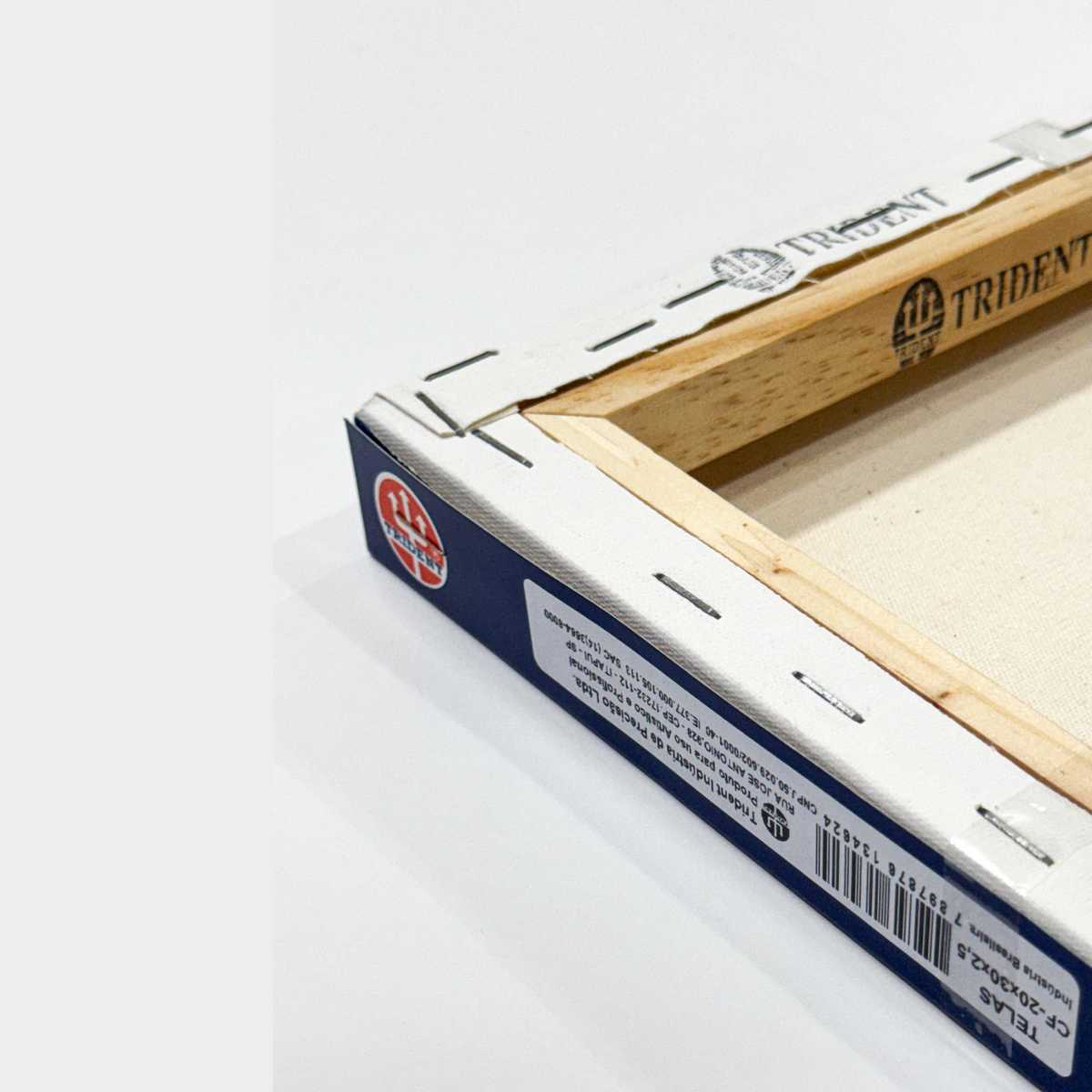 TELA TRIDENT STUDIO CF NACIONAL 20x20x2,5cm