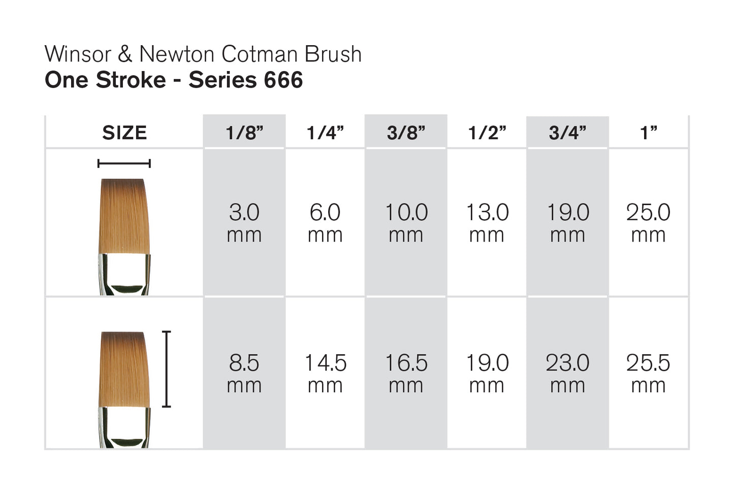 PINCEL WINSOR NEWTON COTMAN 666x25 25mm FLAT