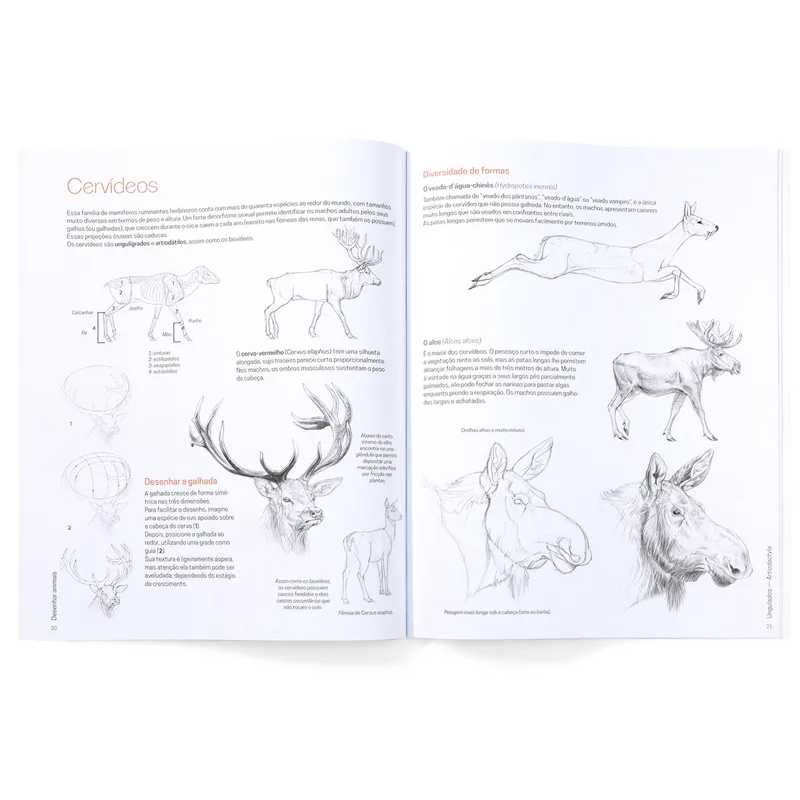 LIVRO "DESENHAR ANIMAIS" CHARLÈNE LETENNEUR