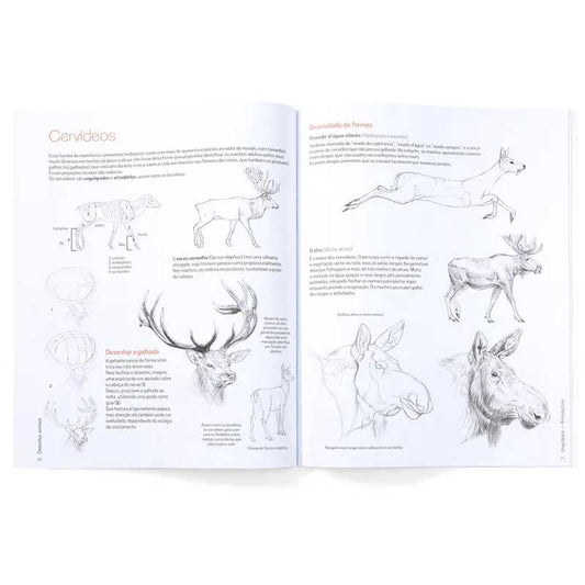 LIVRO "DESENHAR ANIMAIS" CHARLÈNE LETENNEUR