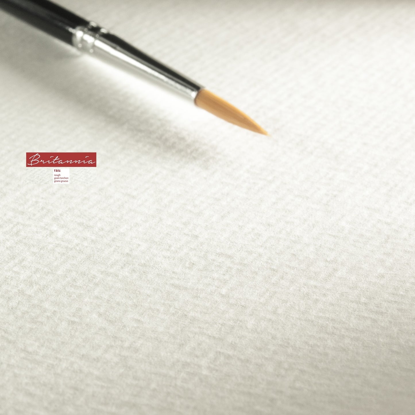 BLOCO HAHNEMUHLE BRITANNIA 300g/m2 17x24 ROUGH 12FOLHAS