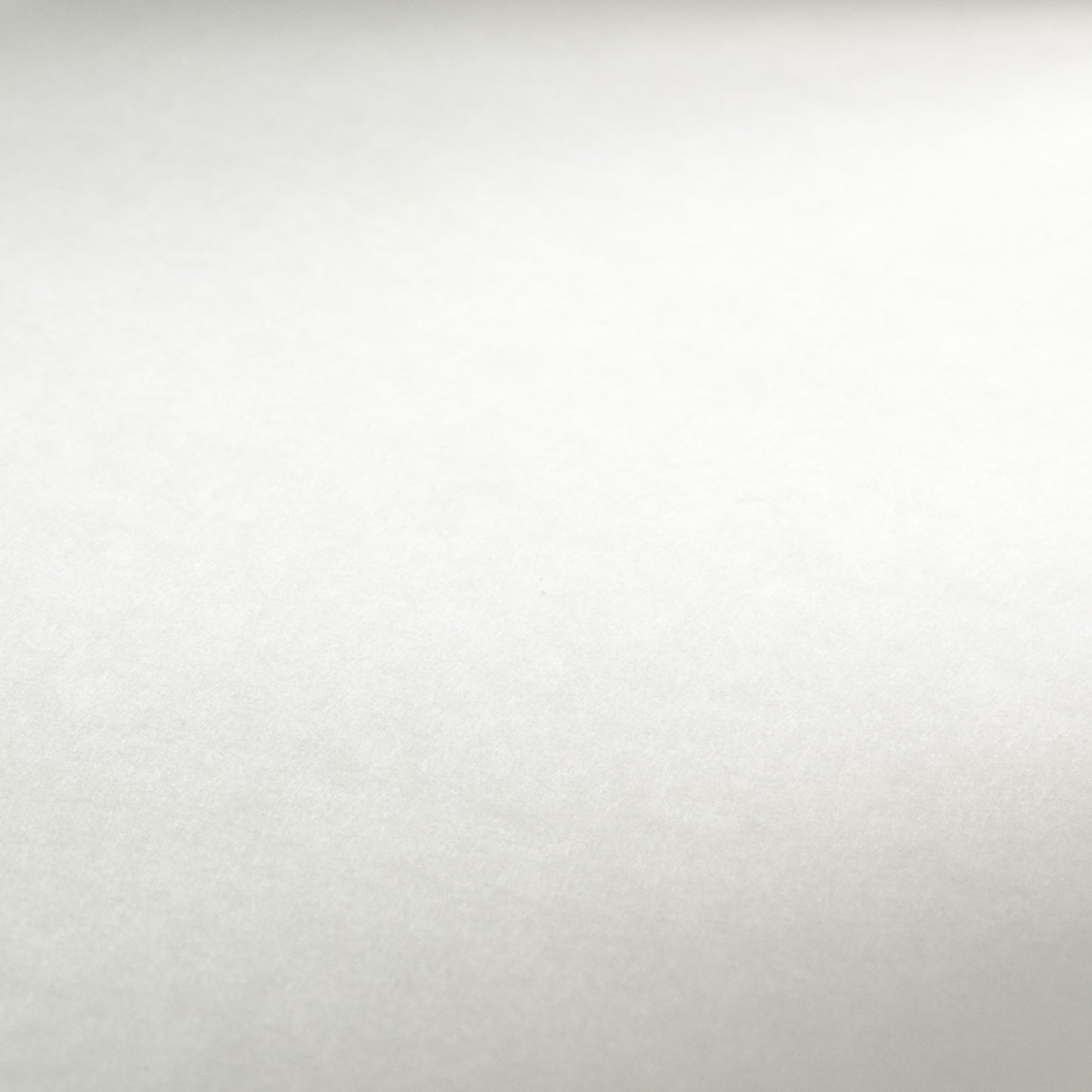 PAPEL HAHNEMUHLE BRISTOL BOARD 310g/m2 50x65