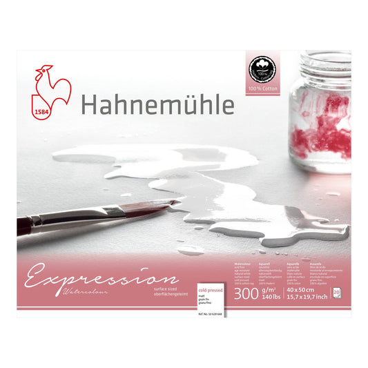 BLOCO HAHNEMUHLE EXPRESSION 300g/m2 GRANA FINA 40x50 20FLS