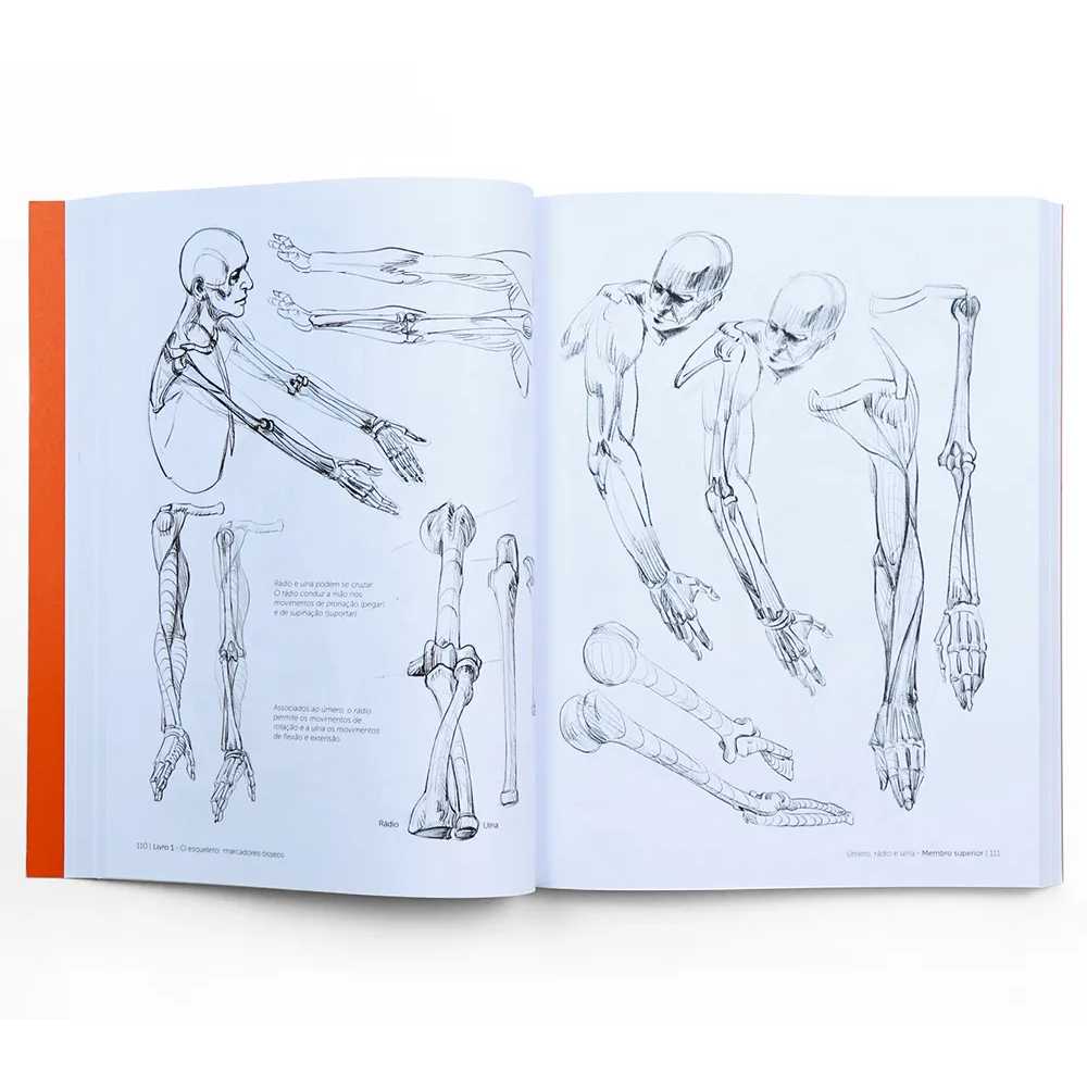 ANATOMIA ARTISTICA ANTOLOGIA - MICHEL LAURICELLA