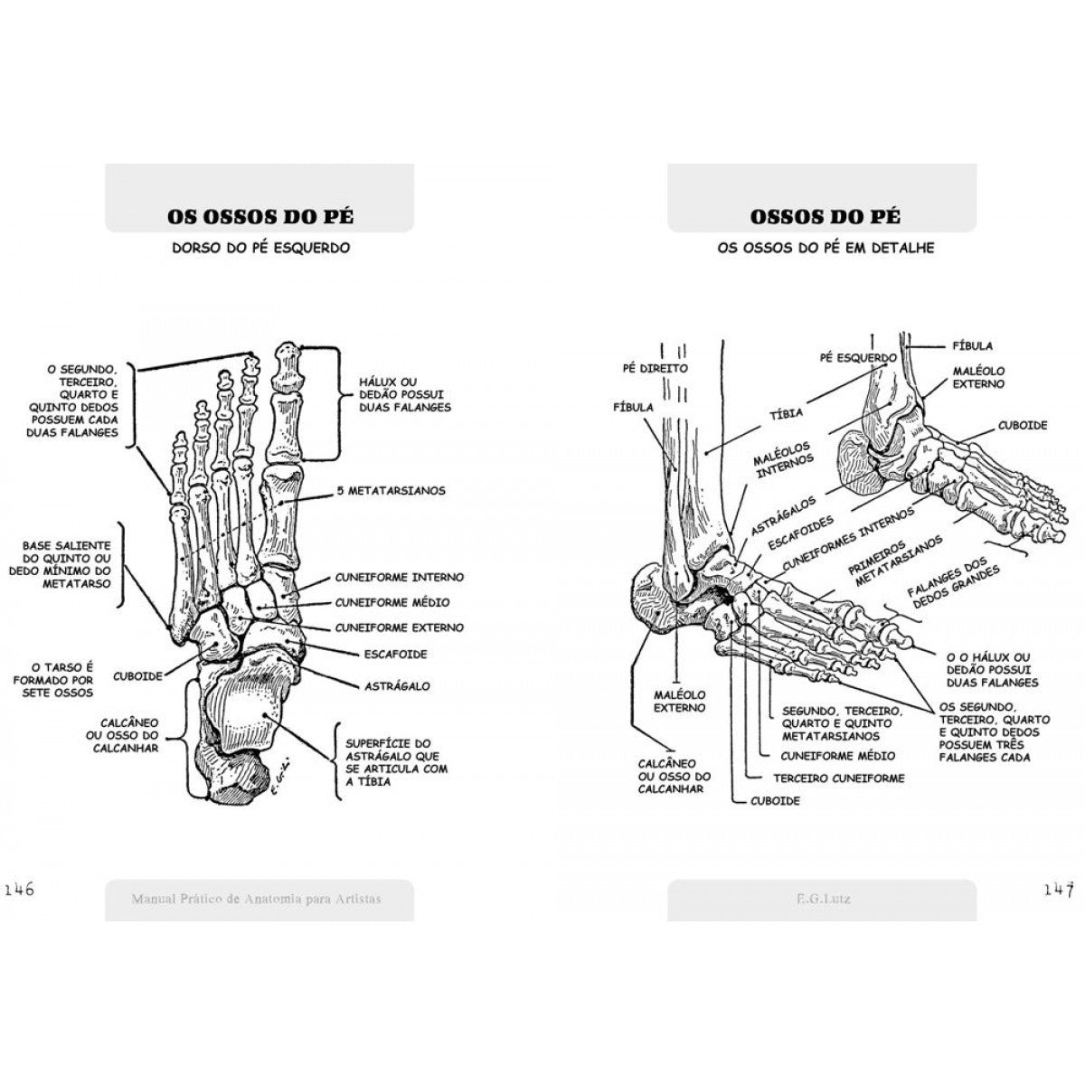 LIVRO "MANUAL PRATICO DE ANATOMIA PARA ARTISTAS" E. G. LUTZ