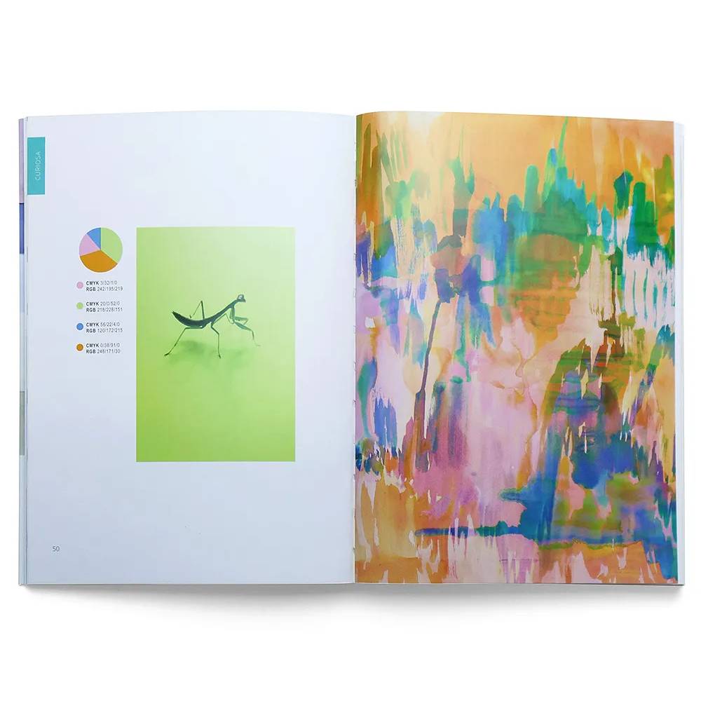 LIVRO "PALETA PERFEITA" LAUREN WAGER