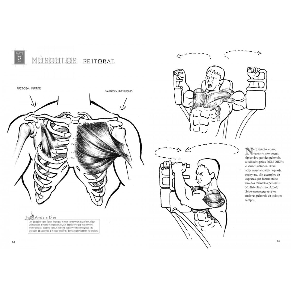 LIVRO "DESENHANDO ANATOMIA FIGURA HUMANA" EDUARDO SCHLOESSER