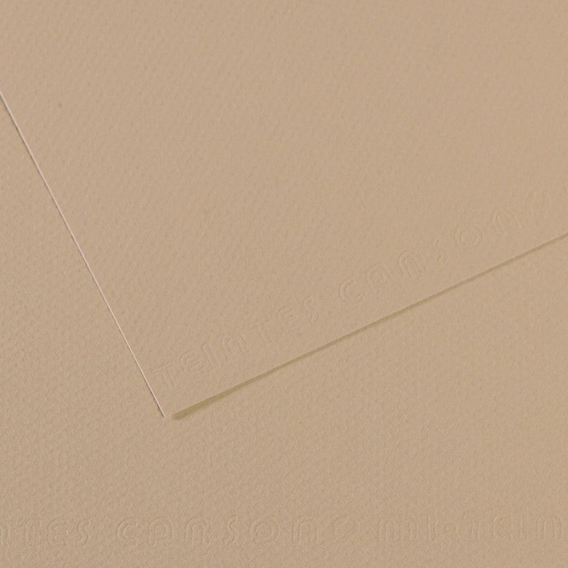 PAPEL CANSON MI-TEINTES 160G/M2 A2 343 CINZA TRAINON