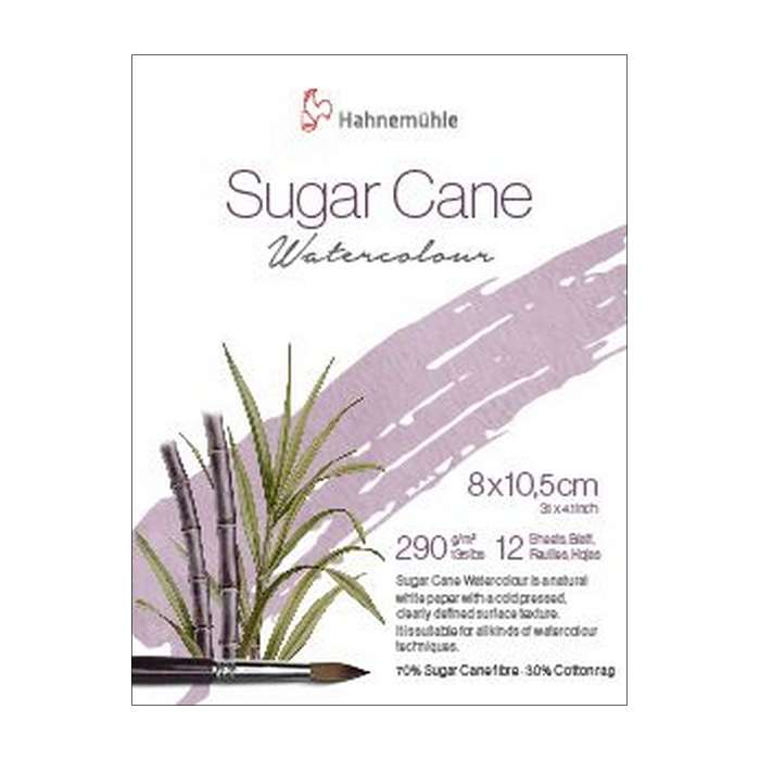 BLOCO HAHNEMUHLE SUGAR CANE 290g/m2 08x10,5cm 12FLS