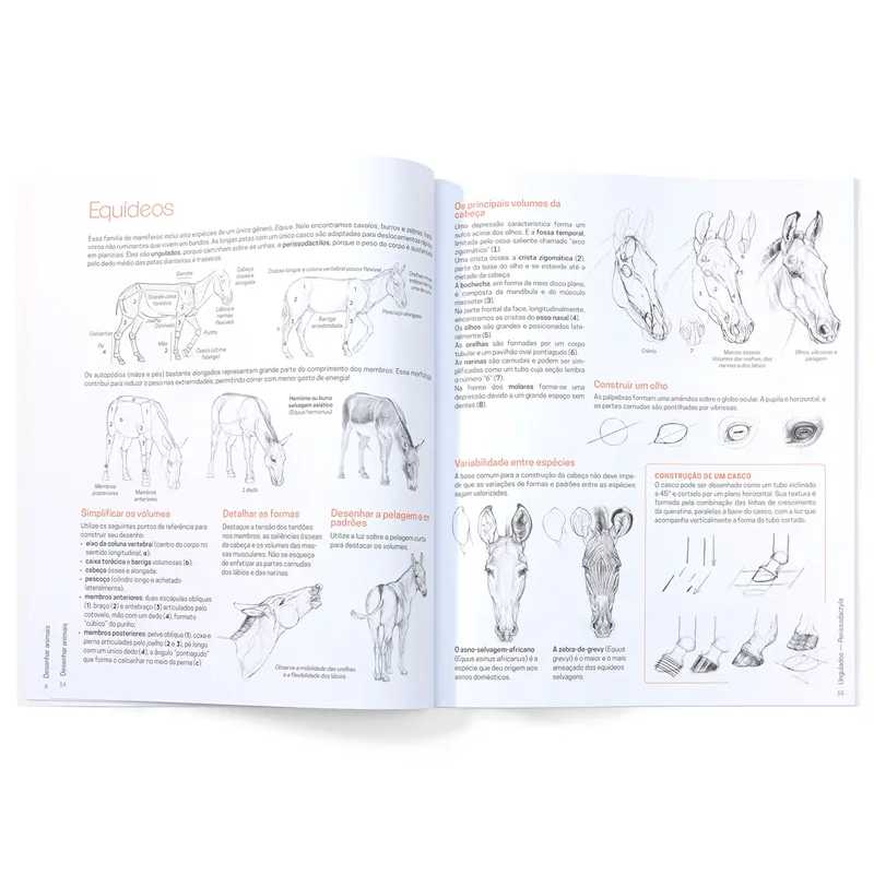 LIVRO "DESENHAR ANIMAIS" CHARLÈNE LETENNEUR