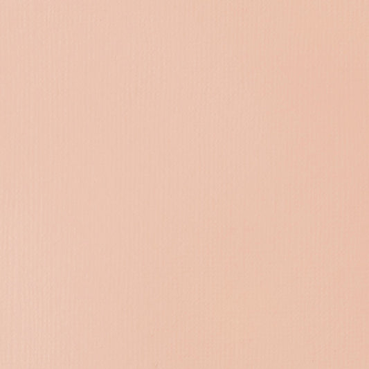 ACRILICA LIQUITEX BASICS 118ML LIGHT PINK 046 (ANT 810)