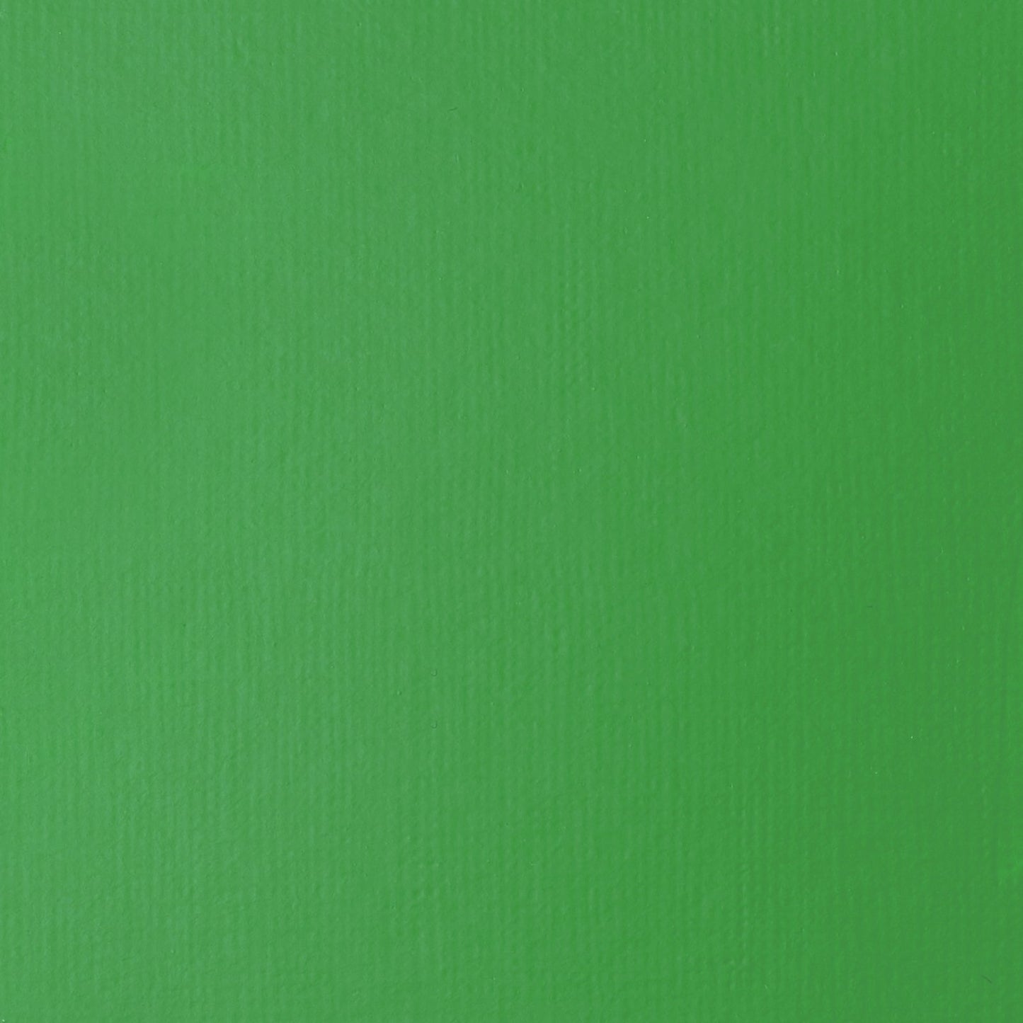 ACRILICA LIQUITEX BASICS 118ML GREEN LIGHT PER 024 (ANT 312)