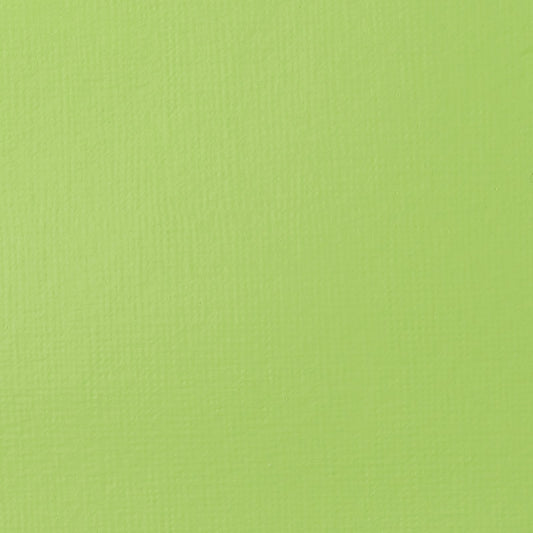 ACRILICA LIQUITEX BASICS 118ML YELLOW GREEN BRILLIANT 050 (ANT 840)