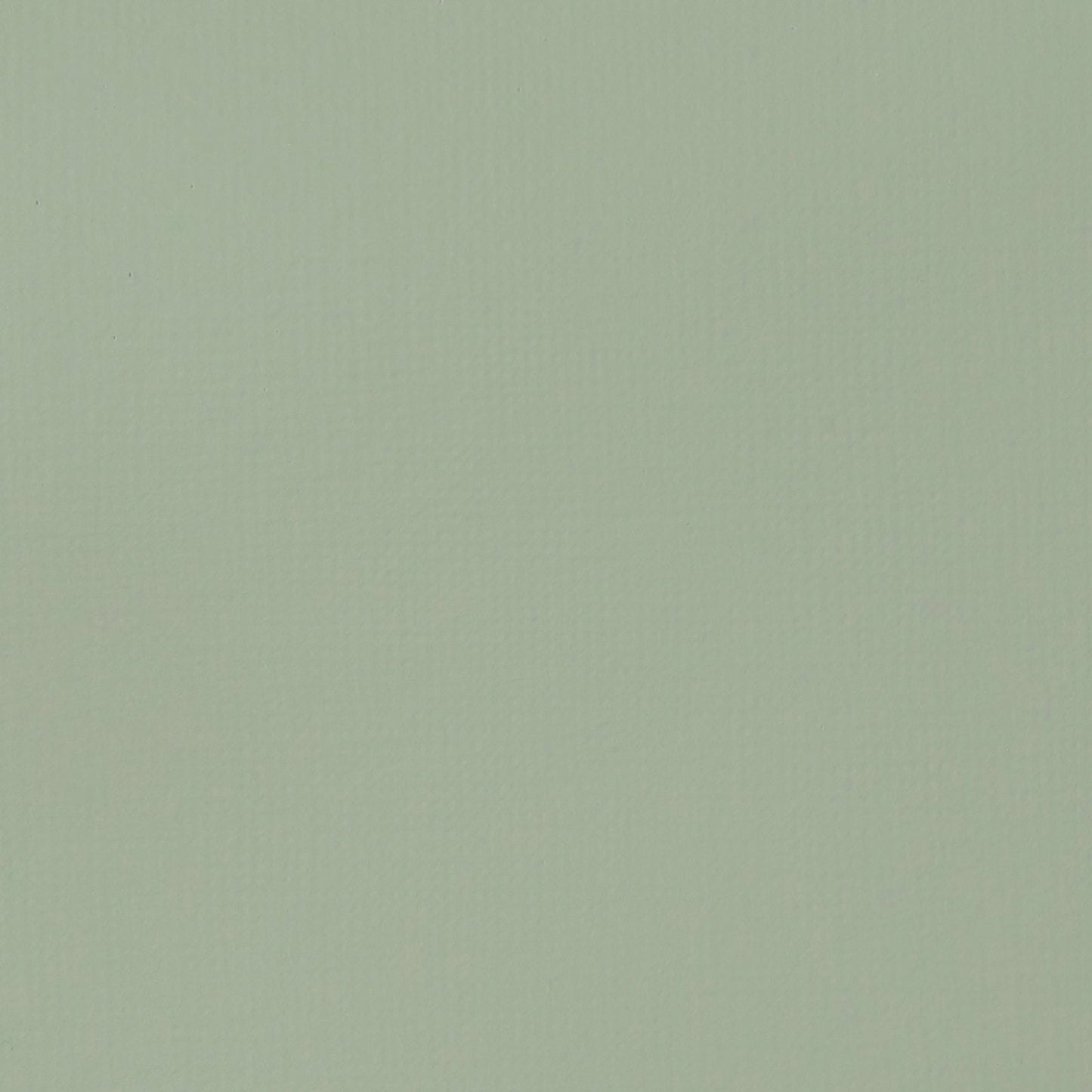 ACRILICA LIQUITEX BASICS 118ML GREEN GREY 079 (ANT 205)