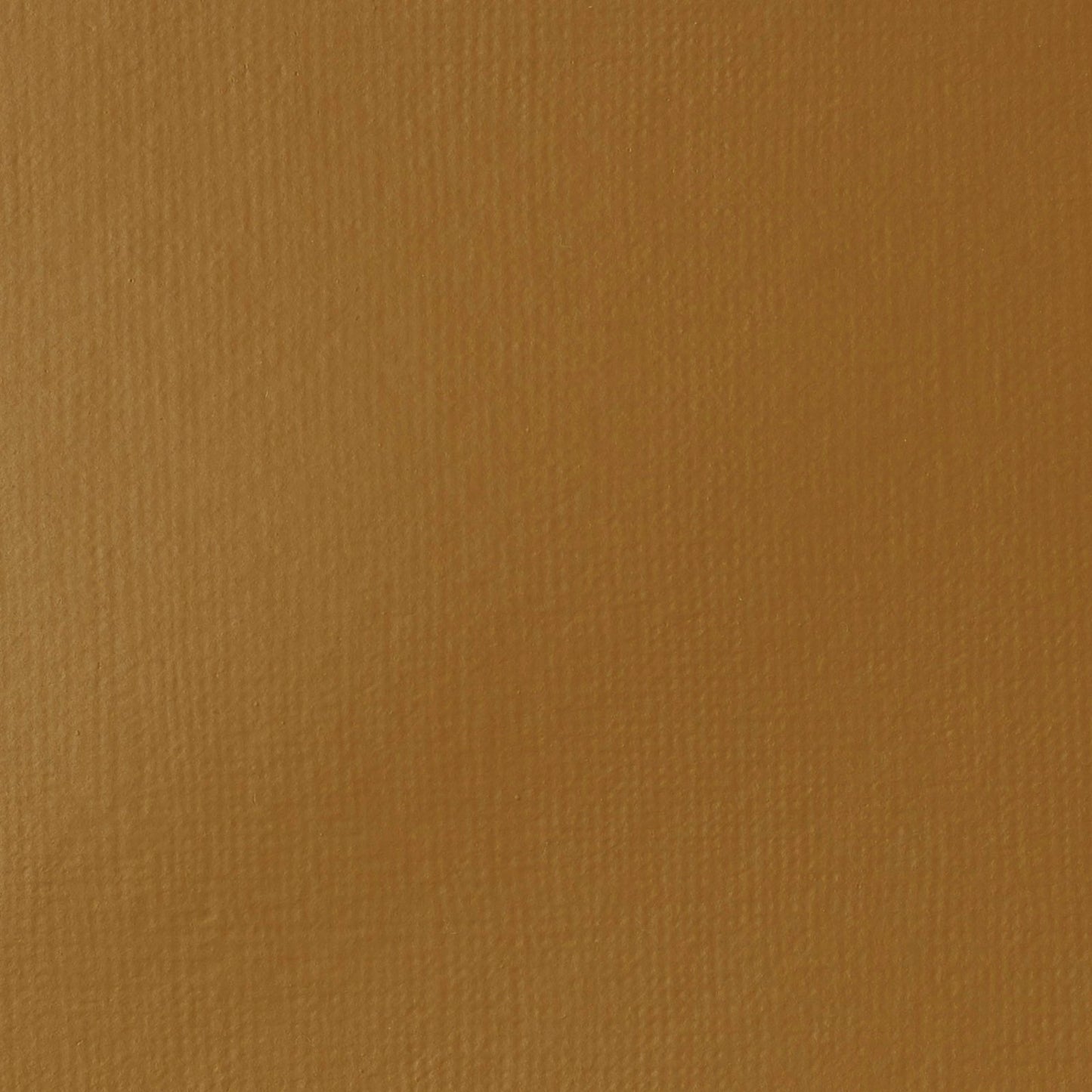 ACRILICA LIQUITEX BASICS 118ML RAW SIENNA 027 (ANT 330)