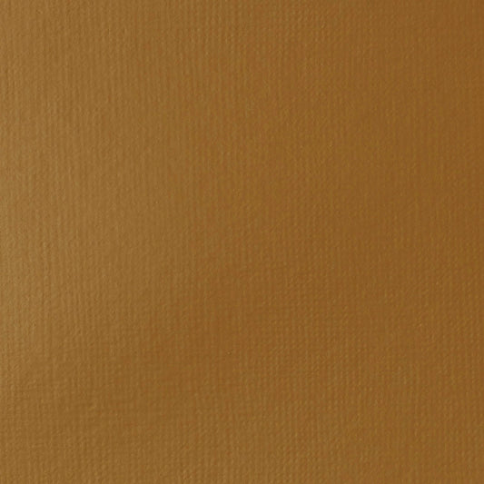 ACRILICA LIQUITEX BASICS 118ML RAW SIENNA 027 (ANT 330)