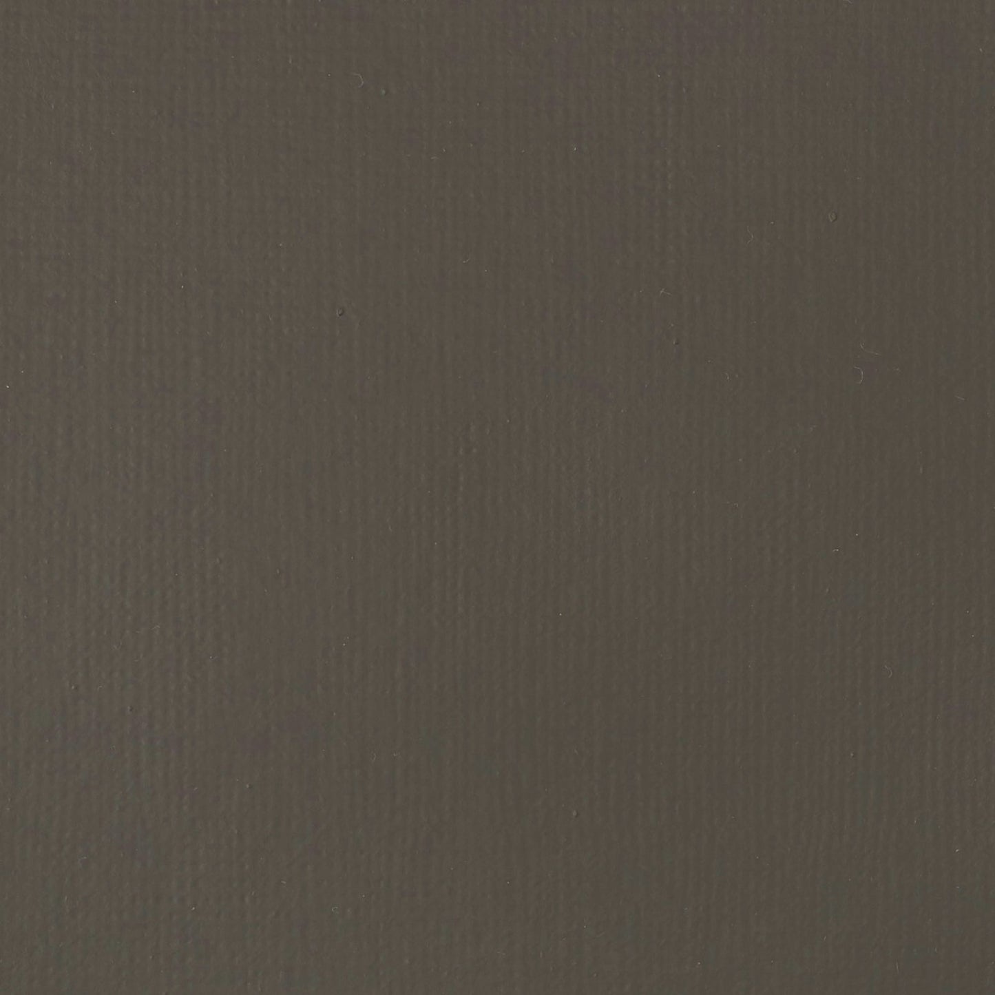 ACRILICA LIQUITEX BASICS 118ML RAW UMBER 045 (ANT 331)