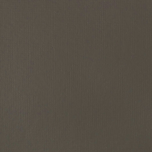 ACRILICA LIQUITEX BASICS 118ML RAW UMBER 045 (ANT 331)