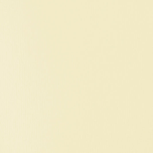 ACRILICA LIQUITEX BASICS 118ML UNBLEACHED TITANIUM 055 (ANT 434)