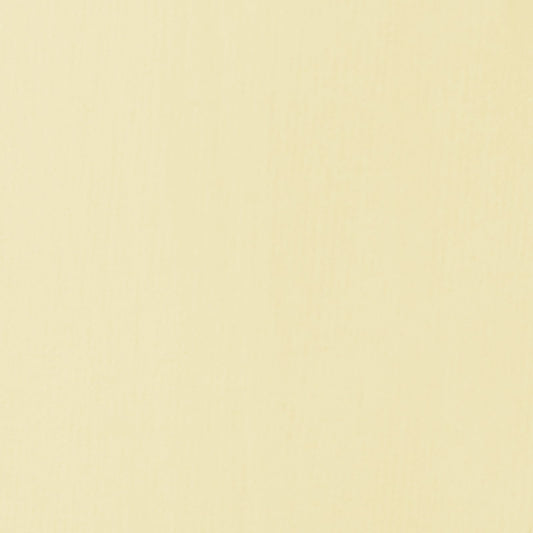 ACRILICA LIQUITEX BASICS 118ML PARCHMENT 058 (ANT 436)