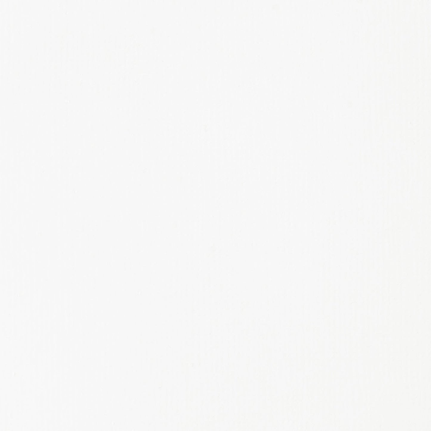 ACRILICA LIQUITEX BASICS 118ML TITANIUM WHITE 1046432