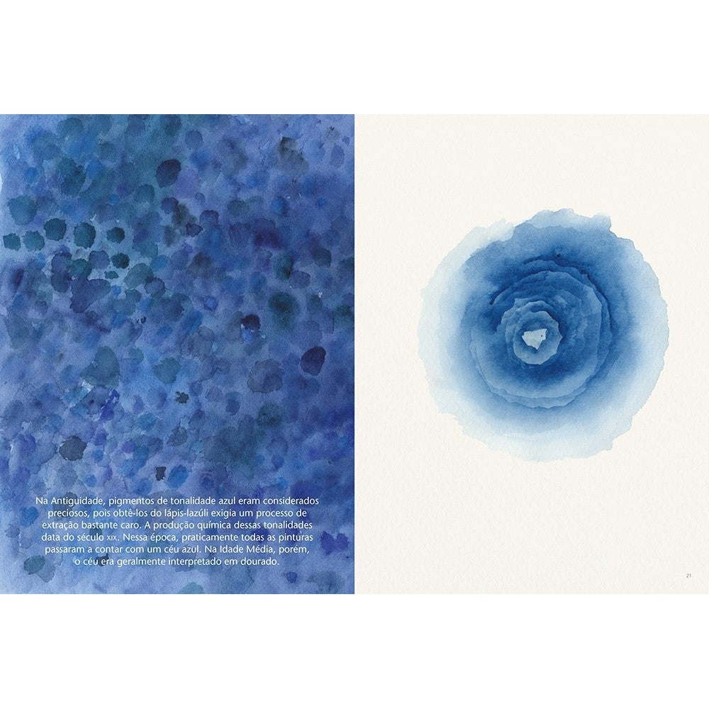 LIVRO "A COR COMO MATERIAL E RECURSO VISUAL" BOERBOOM E PROE