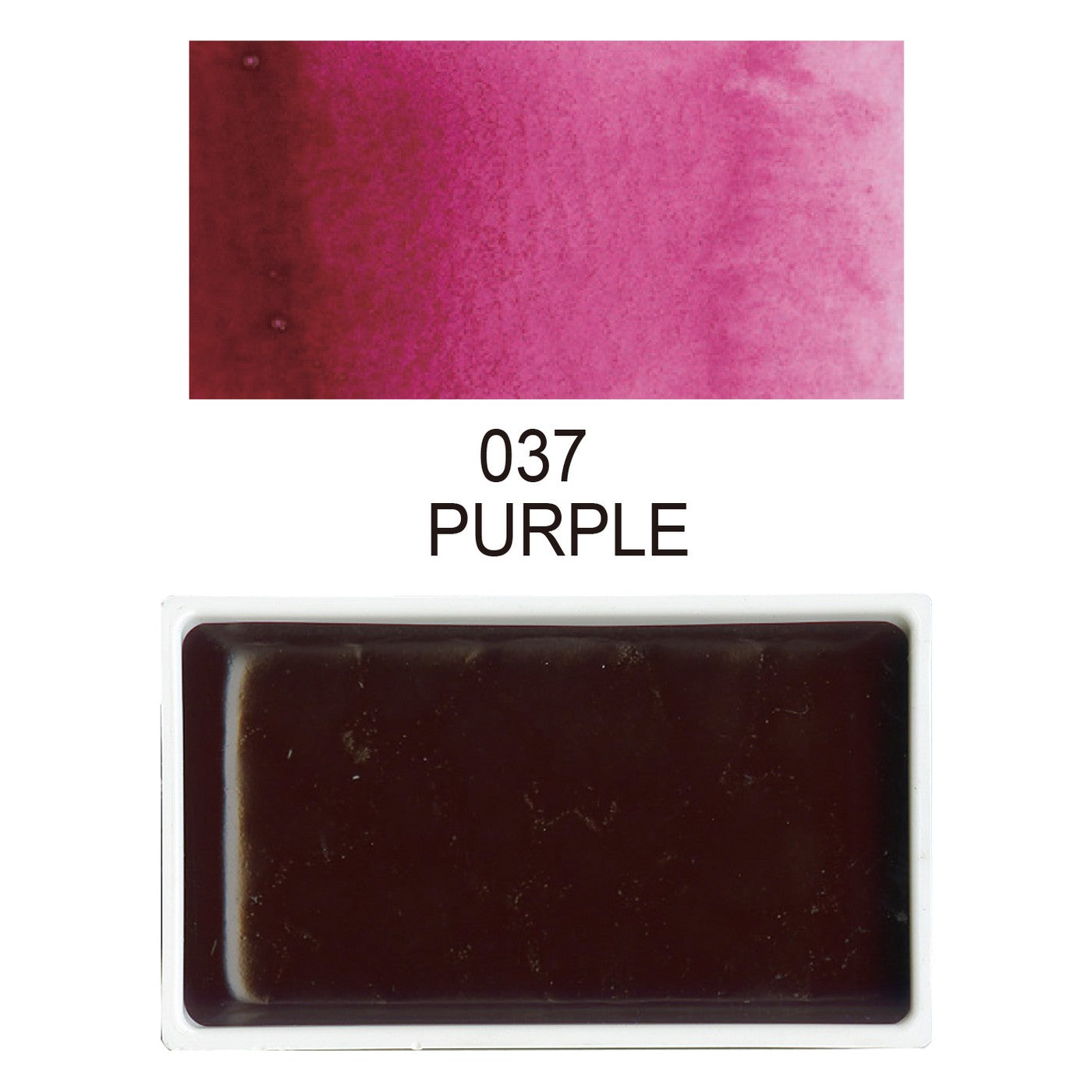 AQUARELA GANSAI TAMBI KURETAKE PURPLE MC21-37