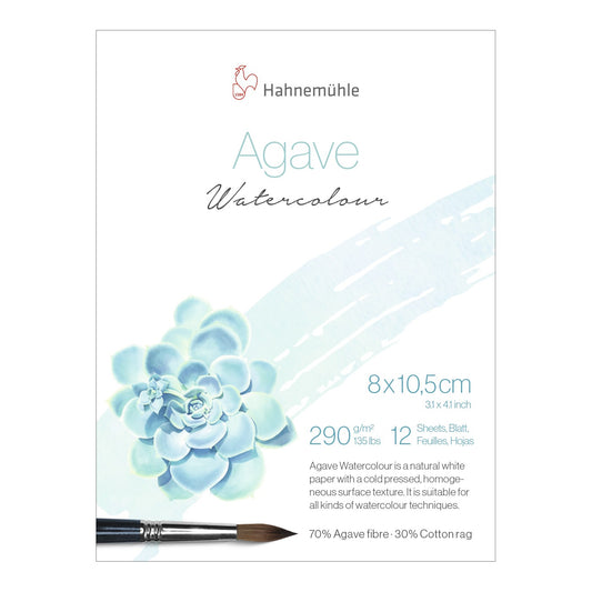 BLOCO HAHNEMUHLE AGAVE 290G/M2 08,5X10,5CM 12 FOLHAS